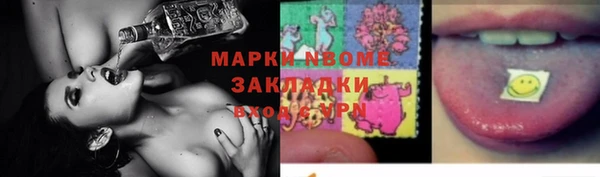 гашик Алексин