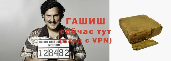 гашик Алексин