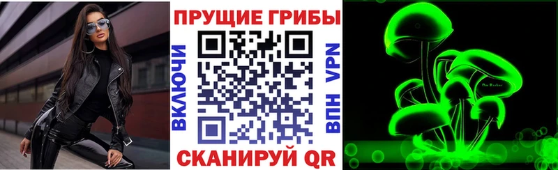 Псилоцибиновые грибы Psilocybine cubensis  Куровское 