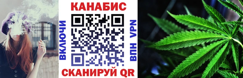 Канабис сатива  где найти   Куровское 